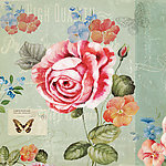 欧美花卉装饰画