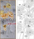 荷花 莲花 金荷