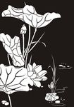 荷花 莲花 黑白图 线勾图