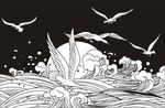 海浪 海鸥 海鸟