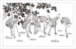 仙鹤 松鹤 迎客松