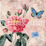 欧美花卉装饰画