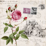 欧美风格花卉装饰画