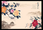 牡丹花电视机背景