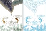 滴水