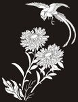 花鸟 喜鹊 葵花