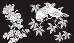 花鸟 牡丹 喜鹊