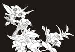 花鸟 玉兰