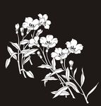 花草 花鸟 小花