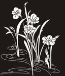 花草 水仙 兰花