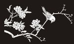 花鸟 玉兰 喜鹊