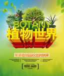 植物世界