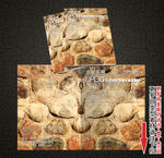 企业画册