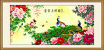 富贵牡丹孔雀图