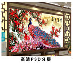 花开富贵梅花孔雀电视
