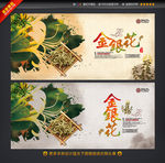 金银花 中药