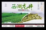 西湖龙井茶海报
