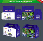 蓝莓手提礼盒