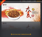 大麦茶