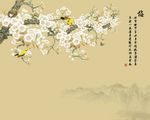 傲雪背景墙