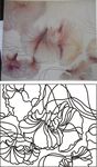 百合花
