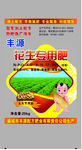 丰源花生大米平面图