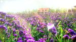 花海世界田园婚礼背景