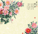 富贵牡丹.