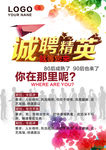 诚聘精英海报