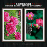 名花展板