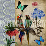 欧美风格花鸟装饰画