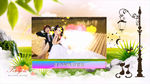 绚丽浪漫婚庆视频模板