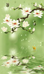 淡雅玉兰花玄关