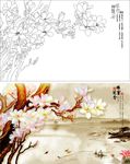 雅舍兰香
