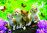 小猫蝴蝶立体画序列图耄耋立体画