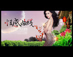 减肥广告