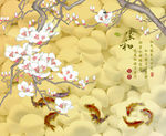 玉兰花