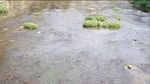 小河流水
