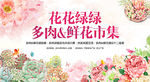 多肉展 鲜花展 彩色 梦幻
