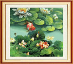 国画荷花
