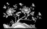 牡丹花灰度图