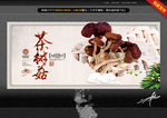 茶树菇 中国风