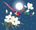 花鸟
