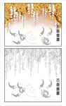 紫藤花下的游鱼