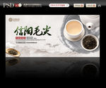 信阳毛尖 茶叶