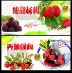 杨梅海报