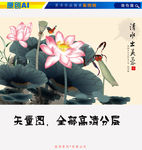 国画莲花图
