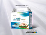 清新鸡蛋礼品包装（平面图）
