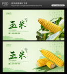 玉米海报