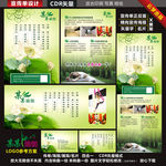 瑜伽宣传单海报名片展架